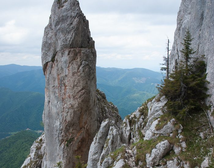 Piatra Craiului. Valea Vladusca. Canionul Anghelide. Plus inca un treat