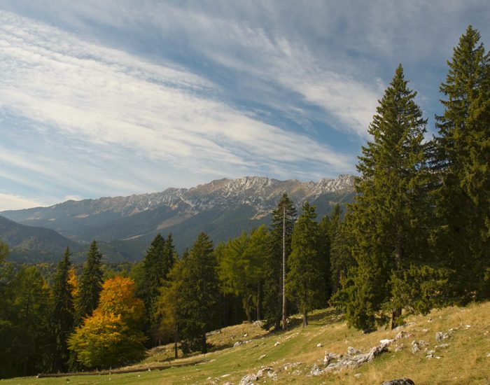Vârful Piatra Mica (Piatra Craiului). Tot în sens invers