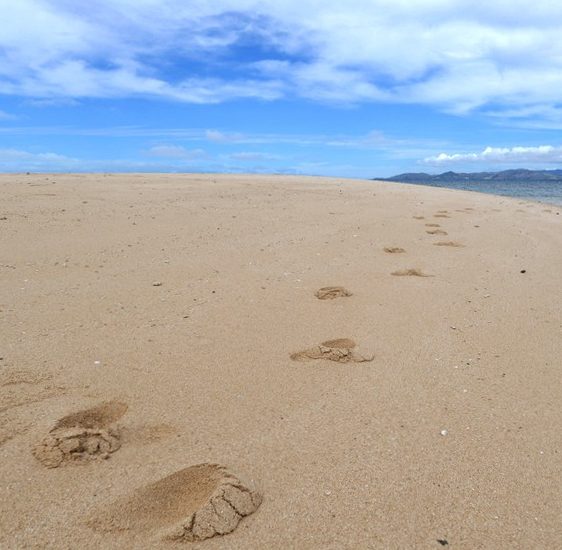 18 Grade Latitudine Sudica, Tropicul Capricornului