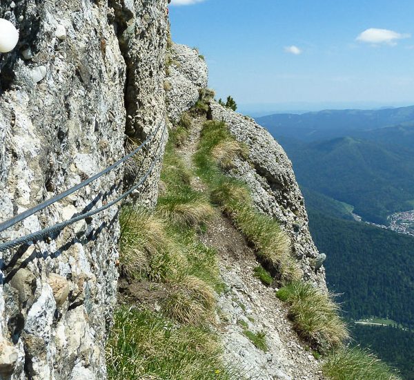 Brâna Aeriană-Creasta Văii Albe-Brâul Mare al Coștilei