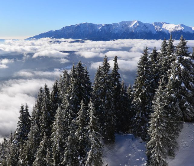 O Mare de Nori (Poiana Brașov)