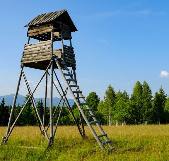 Ivo Wildlife Park (Izvoare, Harghita)