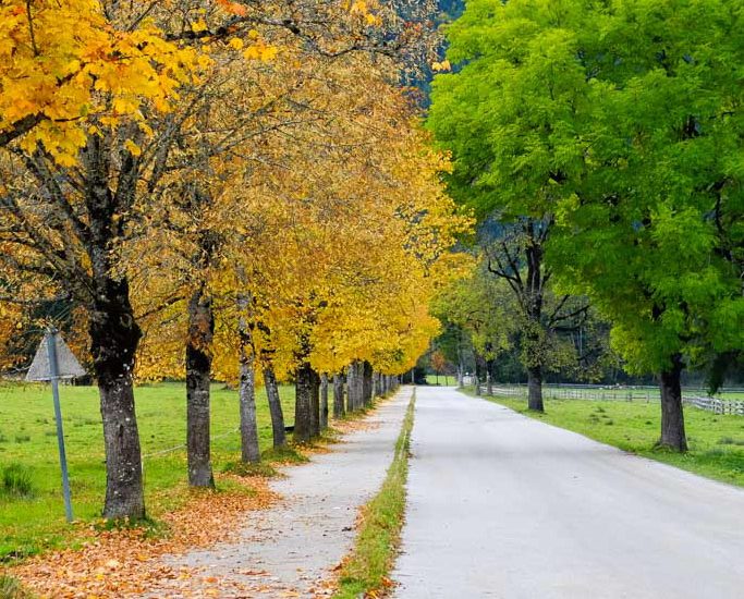 Achensee, Tirol. O Picătură de Toamnă